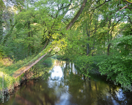 river Dinkel near village of Losser in part of dutch province of overijssel called Twente