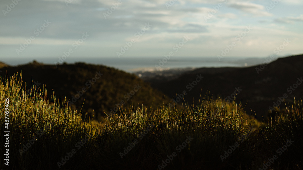 Fototapeta premium Vue mer depuis la montagne