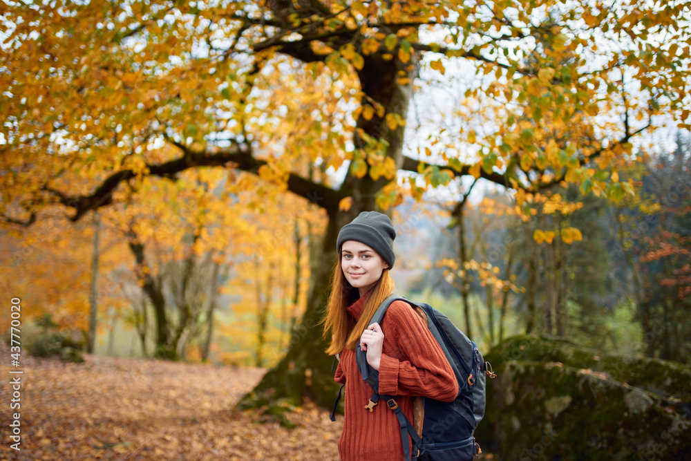 traveler with a backpack resting in the autumn forest in nature near the trees traveler with a backpack resting in the autumn forest in nature near the trees