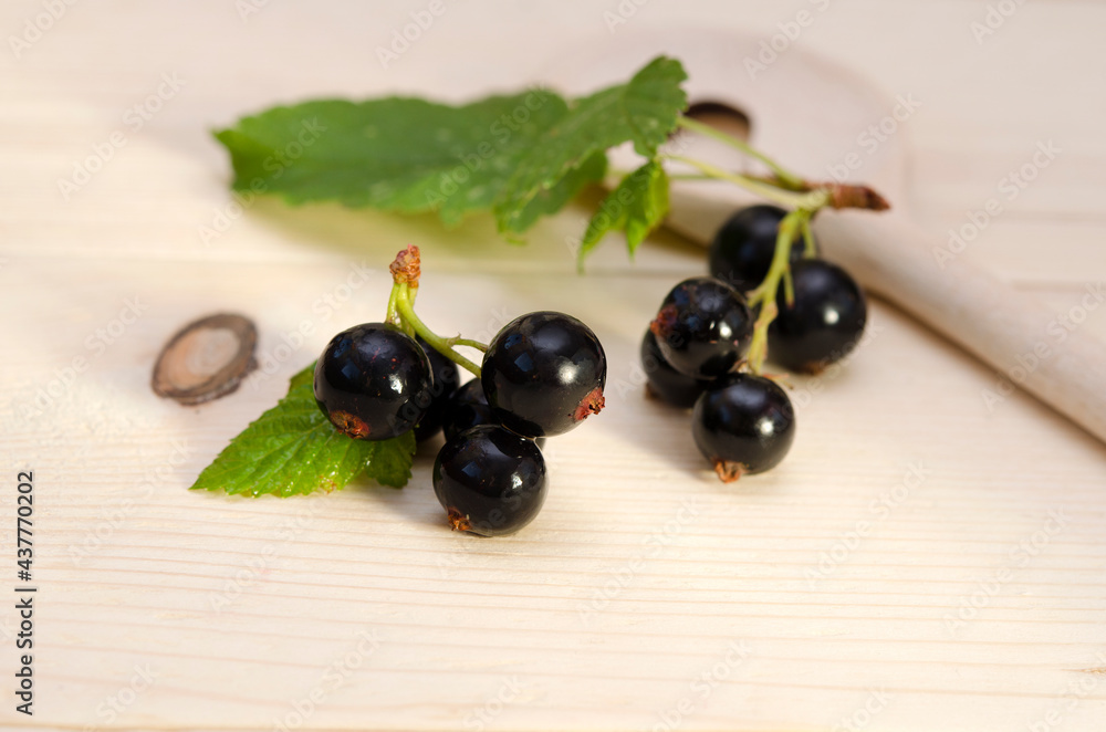 black currant berries with leaves close-up black currant berries with leaves close-up