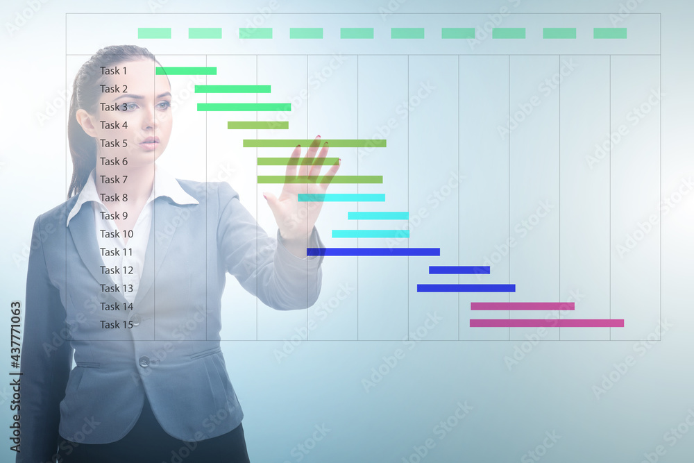 Businesswoman in project management concept Businesswoman in project management concept