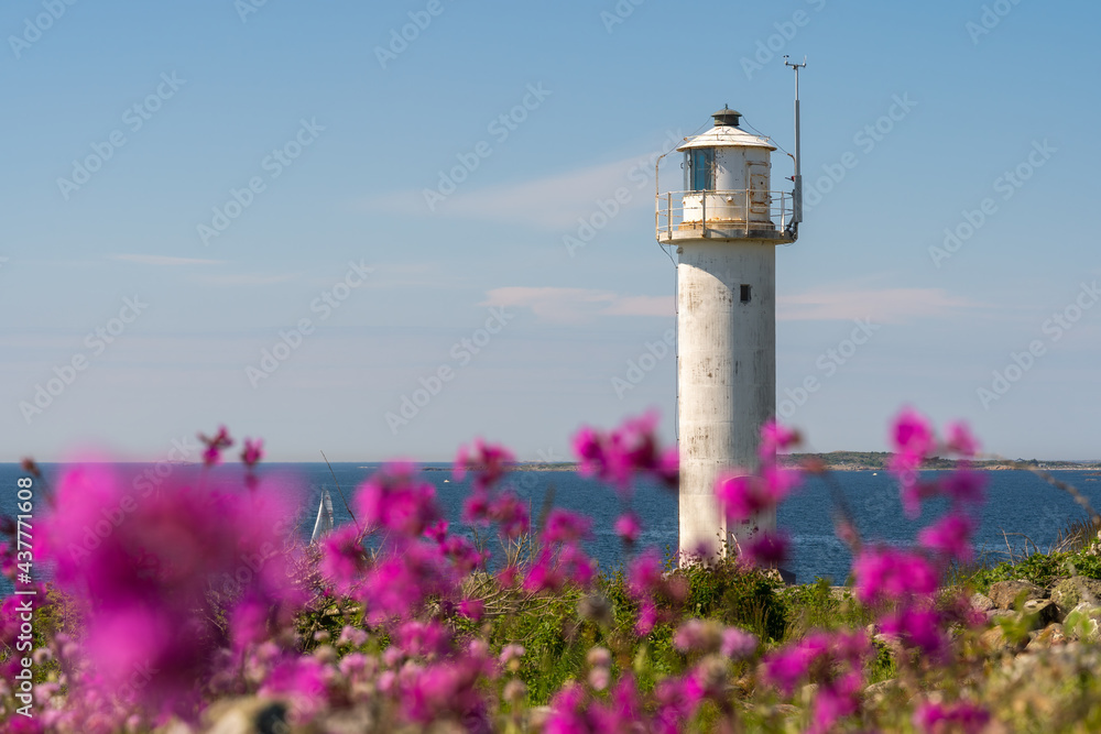Subbe lighthouse with pink flowers in southern Varberg, Sweden. Selective focus.