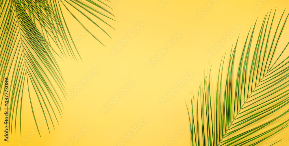 summer background of palm leaves on yellow background