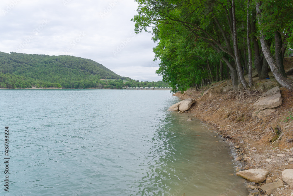 Landscape of the bank of a dam with exposed tree roots Landscape of the bank of a dam with exposed tree roots