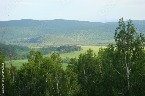 Small Bor tract, Khakassia photo