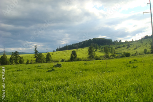 Small Bor tract, Hakkasia. Forests and meadows Khakassia photo