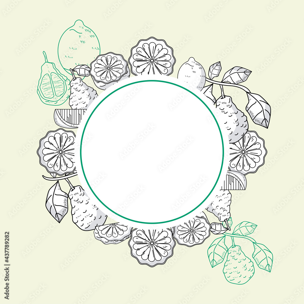 bergamot elegant frame bergamot elegant frame