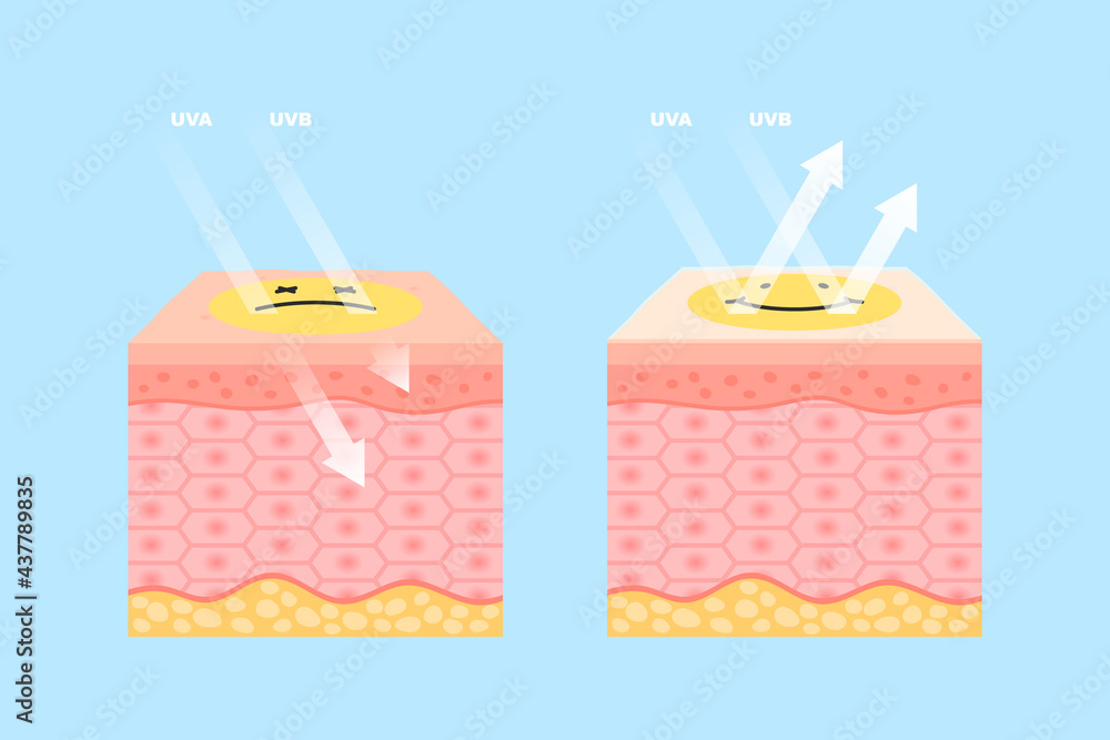 Skin health ultraviolet rays protection with uv filter and without