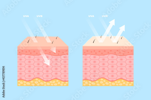 Human skin protection from uva and uvb rays scheme. Design for absorbing and reflected sunrays suitable for sunscreen lotion with ultraviolet shield property realistic vector illustration