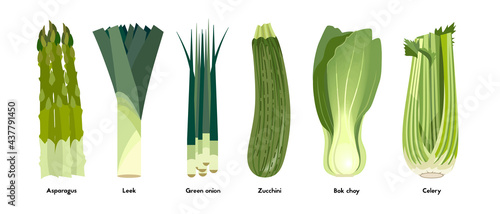 Set of green vegetables. Colorful vector illusteration.