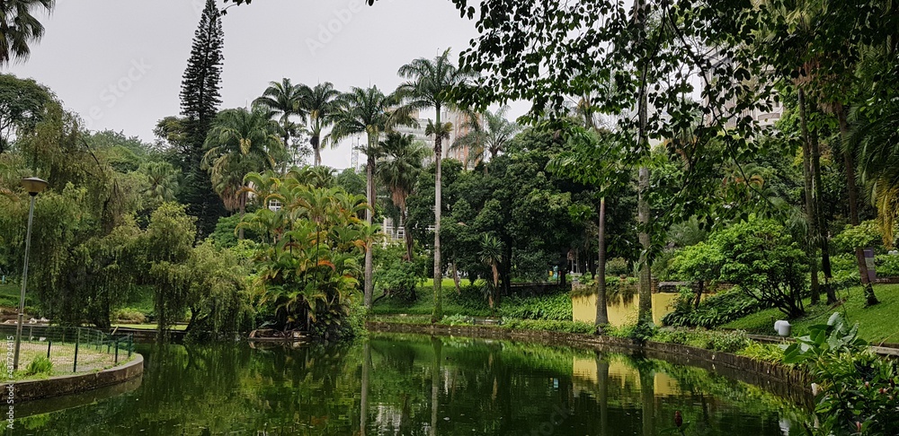 Obraz premium lake in the forest