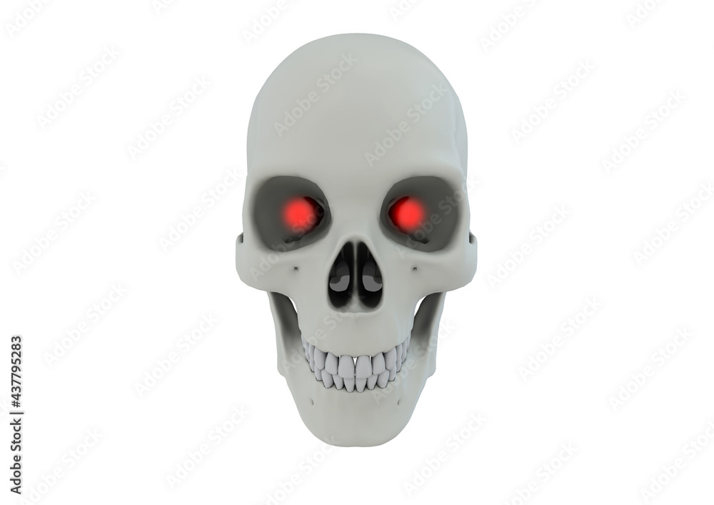 Skull 3D rendering image front view Skull 3D rendering image front view