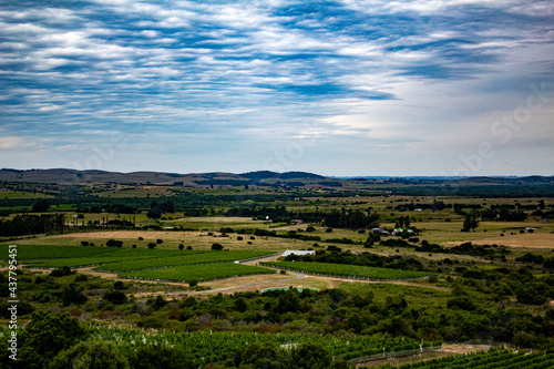 Campo del Amor - Uruguay