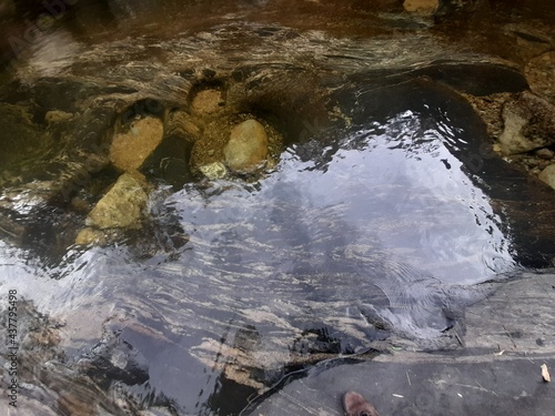 Imagens do fundo do rio com as pedras que foram esculpidas pela correnteza, formando formas e buracos no seu leito photo