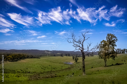 Wide Valley 