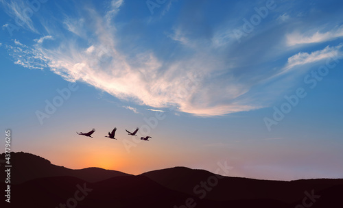 Flock of birds flying over Mountain Range travel concept