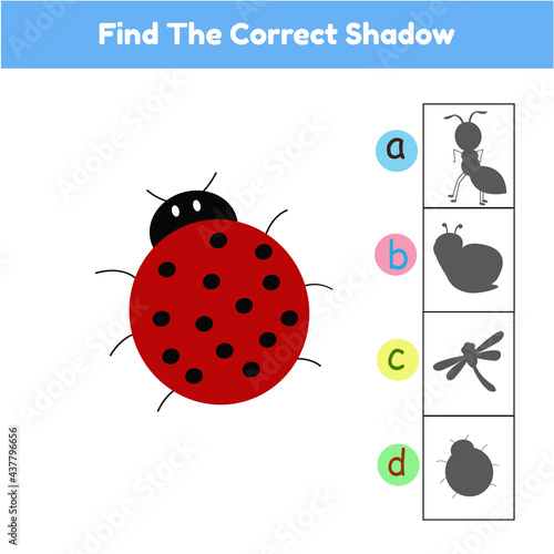 Find The Correct Shadow Matching Game Animal Ladybug Cartoon Illustration Vector