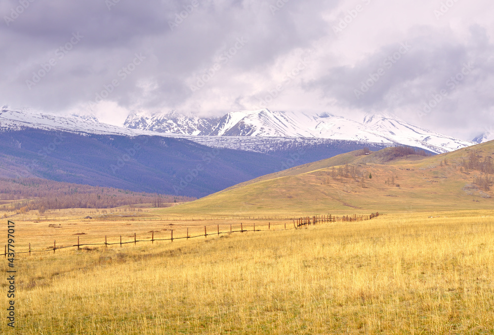 Kurai steppe in the Altai Mountains. Hillsides in spring against the backdrop of mountains under white clouds. Pure Nature of Siberia, Russia