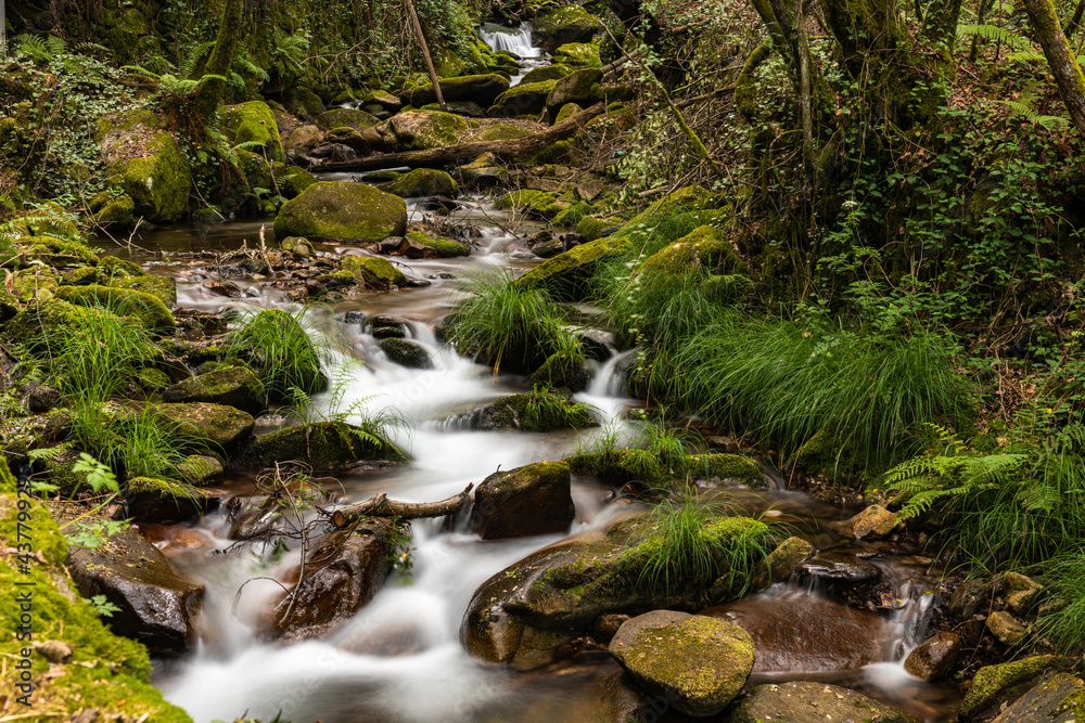 Beautiful water stream in Gresso river Portugal