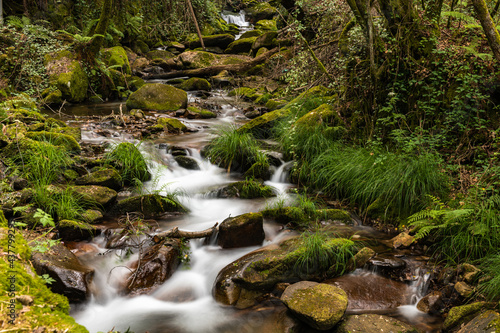 Beautiful water stream in Gresso river Portugal