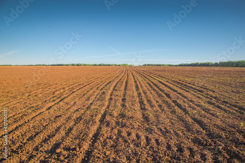 beautiful pastoral landscape of agricultural field and blue sky