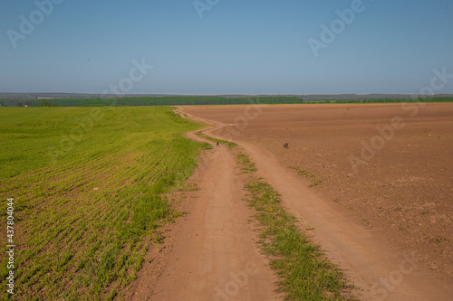 dirt road meanders between agricultural fields stretching to the horizon