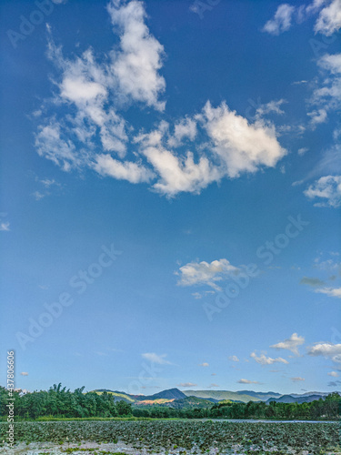 field and blue sky