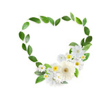 Beautiful heart shaped composition made with tender flowers and green leaves on white background