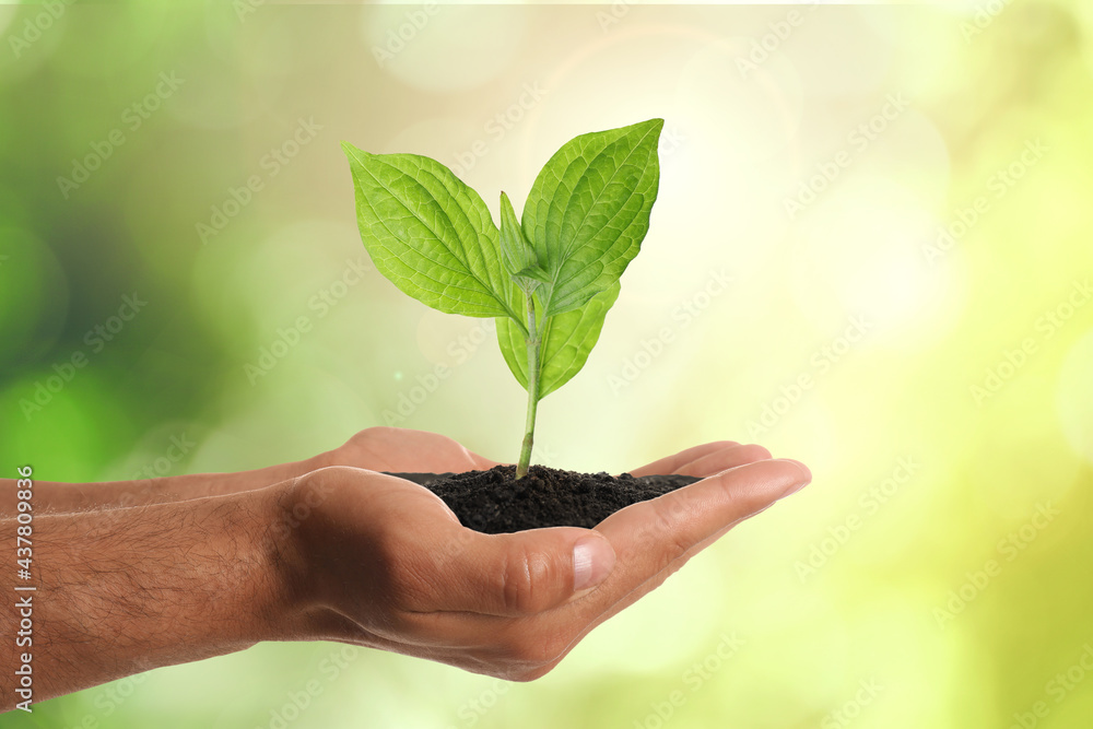 Man holding small plant in soil on blurred background, closeup. Ecology protection