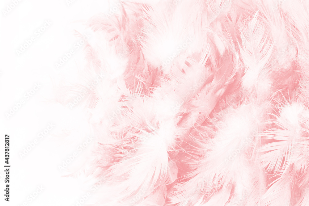 Beautiful light pink feather pattern texture background Beautiful light pink feather pattern texture background