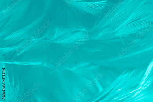 Wallpaper Mural Beautiful green cyan turquoise vintage color trends feather pattern texture background Torontodigital.ca