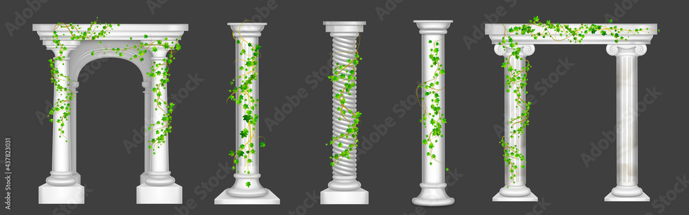 Ivy on marble columns and arches, vines with green leaves climbing on antique stone pillars, creeper plant on decorative greek or roman architecture design elements, Realistic 3d vector illustration - obrazy, fototapety, plakaty 