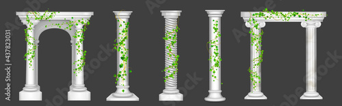 Tela Ivy on marble columns and arches, vines with green leaves climbing on antique st