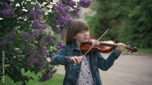 portrait of a young cute violinist playing near a bush of lilac flowers