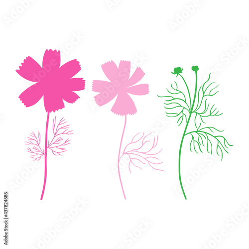 Cosmos flower, Kosmos flower, Kosmeya hand drawn doodle sketch, decorative illustration, wild astra, Cosmos plant silhouette floral design for greeting card, wedding invitation, cosmetic packaging