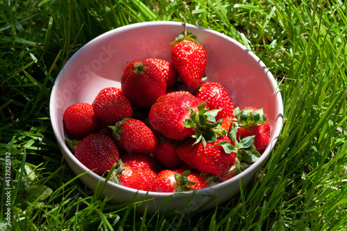 Fototapeta Naklejka Na Ścianę i Meble -  A bowl with strawberries on the grass 