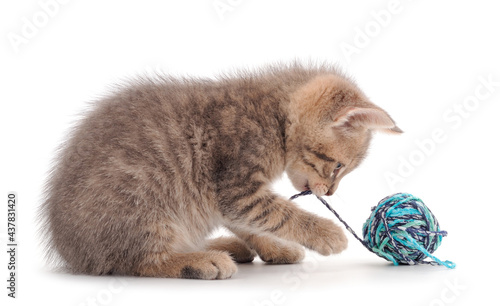 Little kitten playing with a ball of yarn.