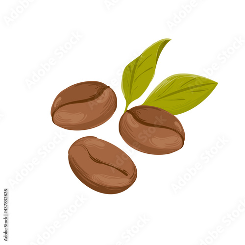 Roasted coffee beans and green leaf. Isolated hand drawn vector illustration
