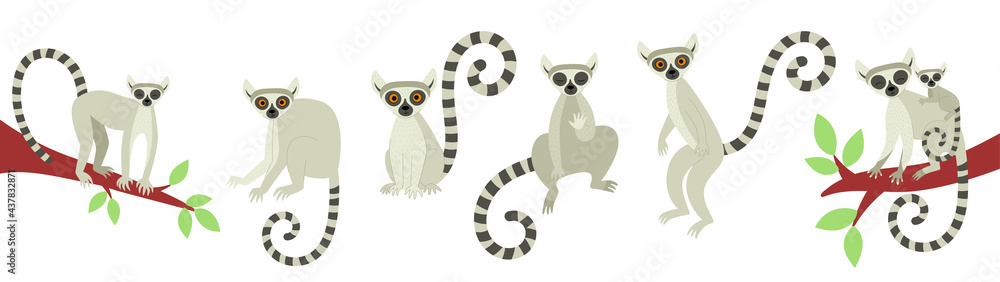 A set of lemurs in different poses. Exotic cute animals of madagascar and africa. Vector illustration in flat style - obrazy, fototapety, plakaty 