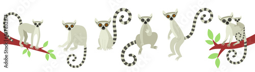 A set of lemurs in different poses. Exotic cute animals of madagascar and africa. Vector illustration in flat style © Анна Безрукова