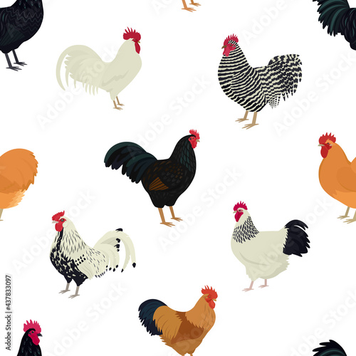 Roosters Seamless pattern Flat  vector illustration Farming today
