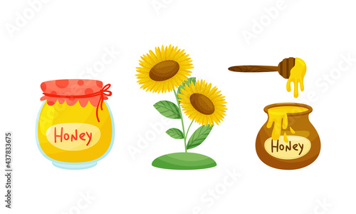Honey Jar and Sunflower Plant with Fragrant Blossom Vector Set