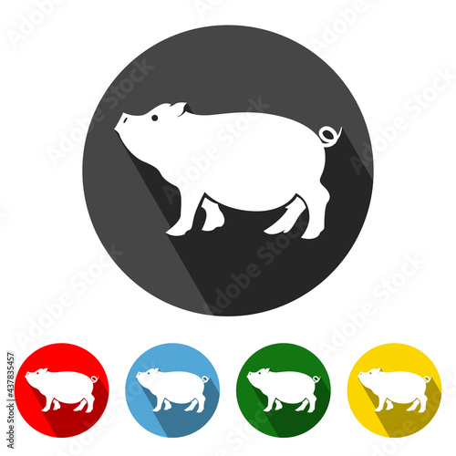 Pig Flat Icon Long Shadow. Pig icon vector illustration design element with four color variations. Pig Icon with Long Shadow. Pig Icon flat design. Vector illustration. Elements for design.