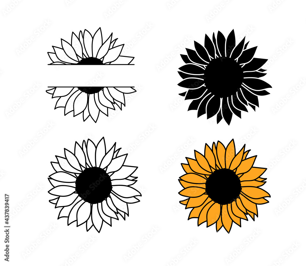 sunflower drawings in black and white
