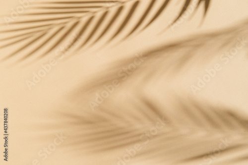 summer background palm tree shadows on beige