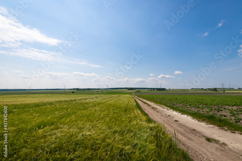 Krajobraz rolniczy w Polsce. Droga dojazdowa do pól uprawnych. 