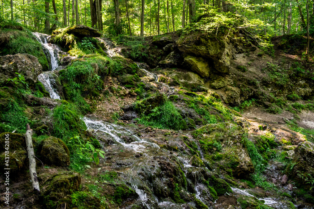 Kazu Grava waterfall in the middle of a beautiful green and lush forest illuminated by the sunlight in Latvia Kazu Grava waterfall in the middle of a beautiful green and lush forest illuminated by the sunlight in Latvia