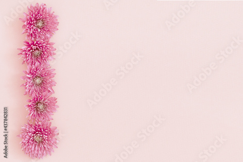 pink summer backgound with flowers border 