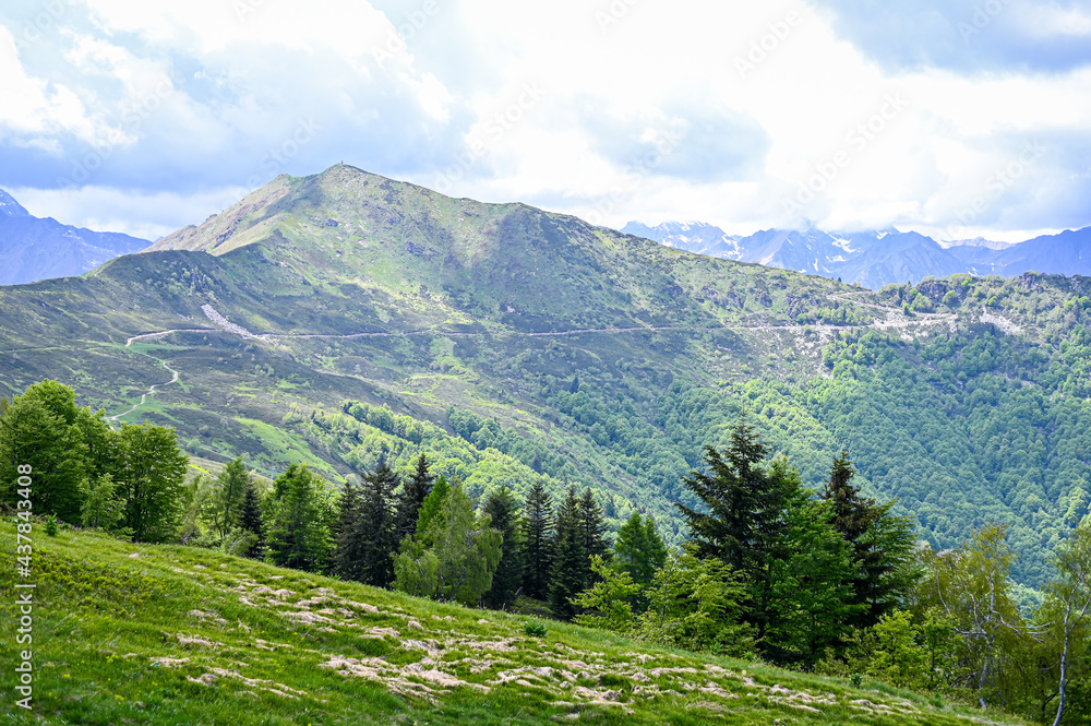 Green pastures on the Alpe di Mera plateau in Valsesia, Piedmont, Italy in summertime