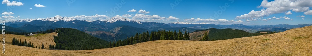 Carpathian mountain plateau spring panorama with fir forest on slope, Ukraine.